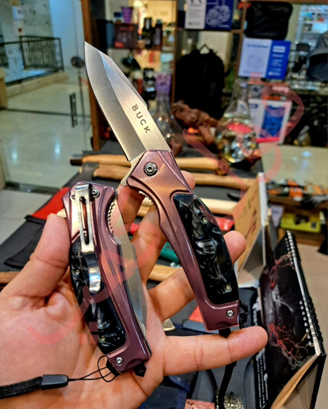 چاقو جیبی باک صدفی buck